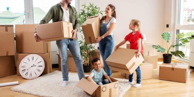 Removal Services